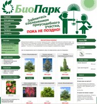 Портфолио Портфолио